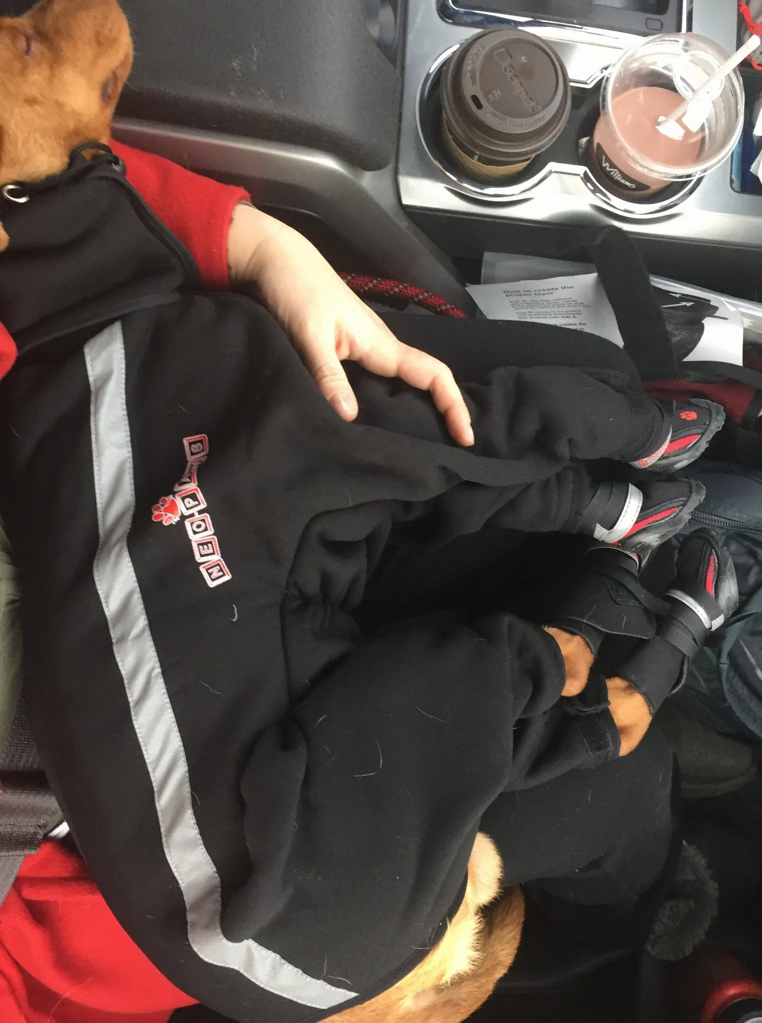 Fleece Bodysuit (hood sold separately) - FINAL SALE