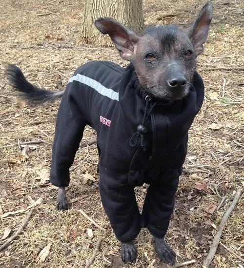 Fleece Bodysuit (hood sold separately) - FINAL SALE