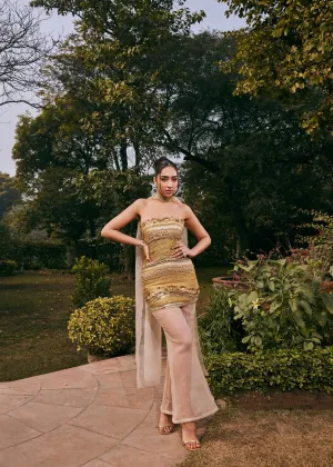 Samira Gold Lace Organza Kurta Set