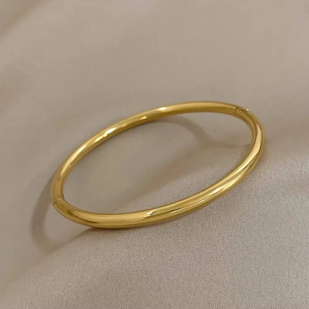 Titanium Steel Gold Plated Bracelet for Women  Hypoallergenic Simple Bangle, Zircon Accents (Daily Wear & Gifts)